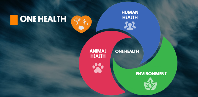 Curso One Health Curso One Health